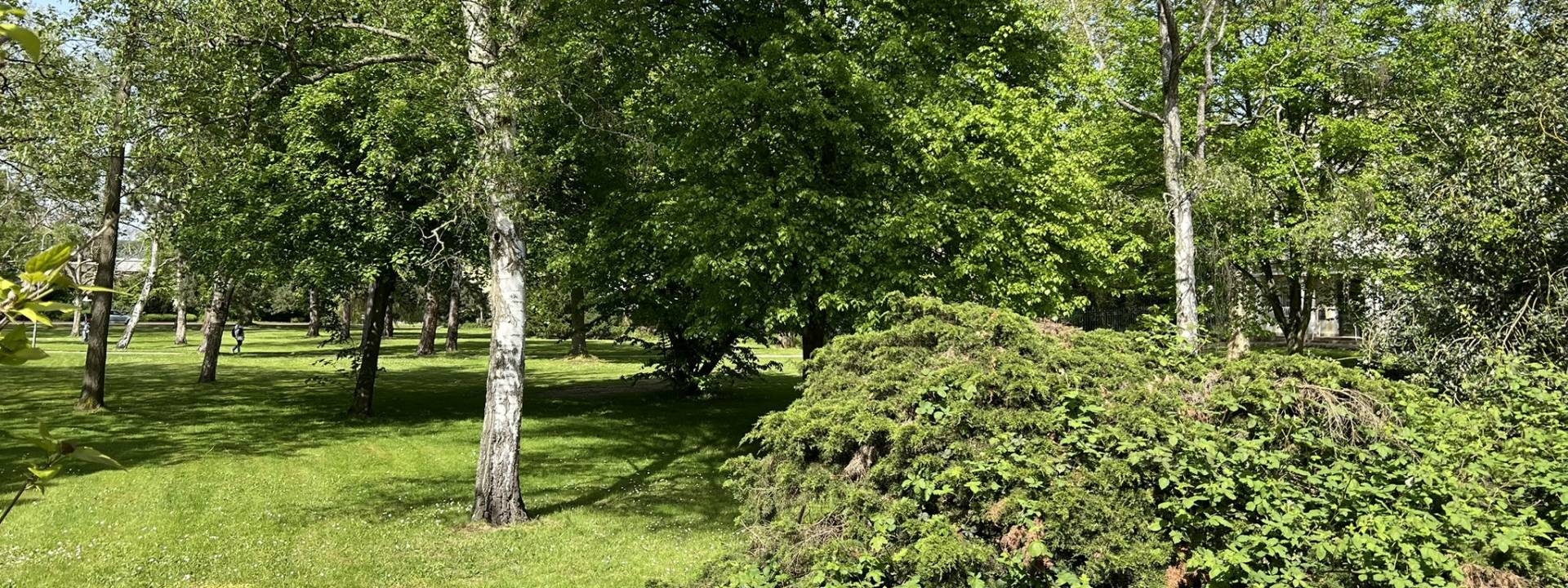 Leben in grüner und ruhiger Oase
